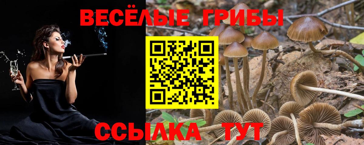 цена наркотик  Вход с VPN  Лесной  Псилоцибиновые грибы ЛСД 