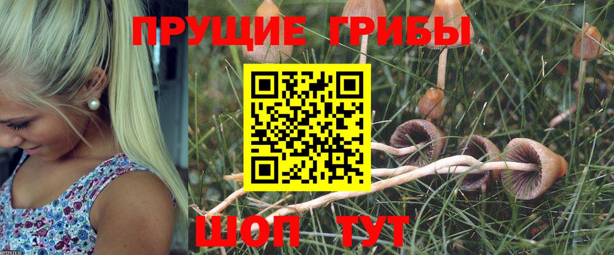 Галлюциногенные грибы MAGIC MUSHROOMS Лесной